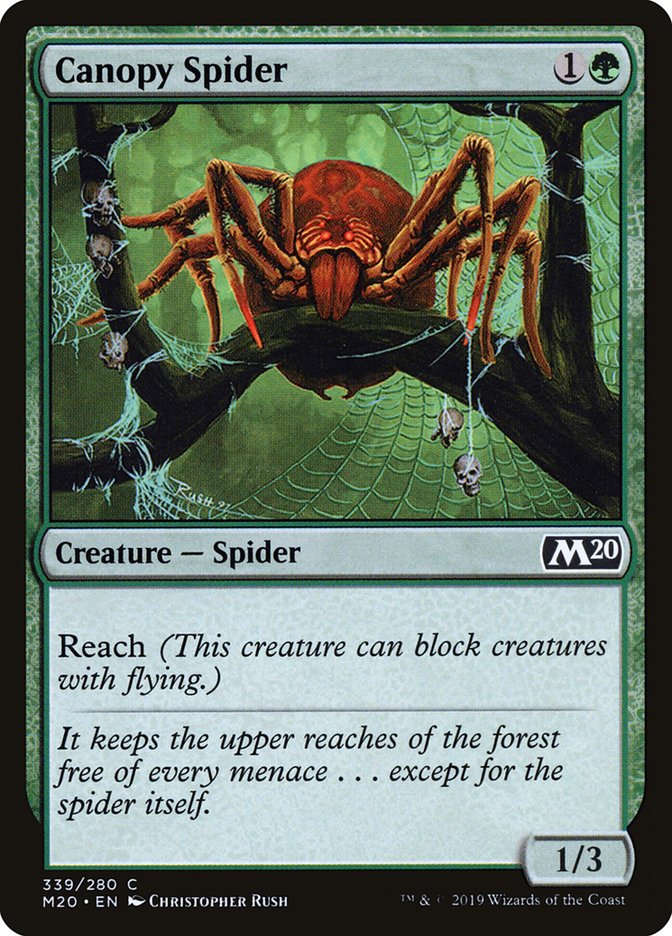 Canopy Spider [Core Set 2020] | Card Merchant Takapuna