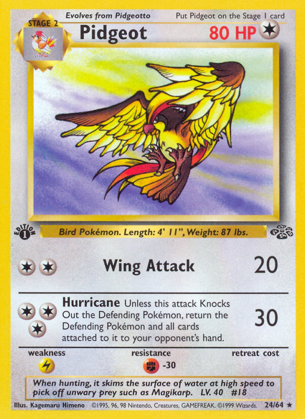 Pidgeot (24/64) [Jungle 1st Edition] | Card Merchant Takapuna