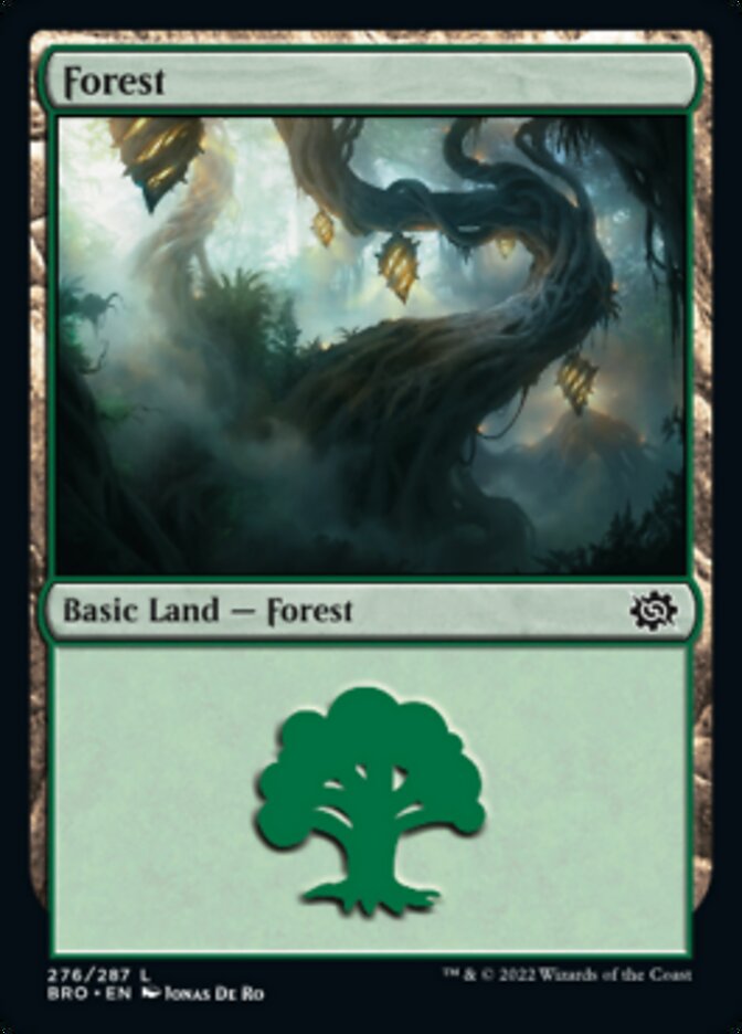 Forest (276) [The Brothers' War] | Card Merchant Takapuna