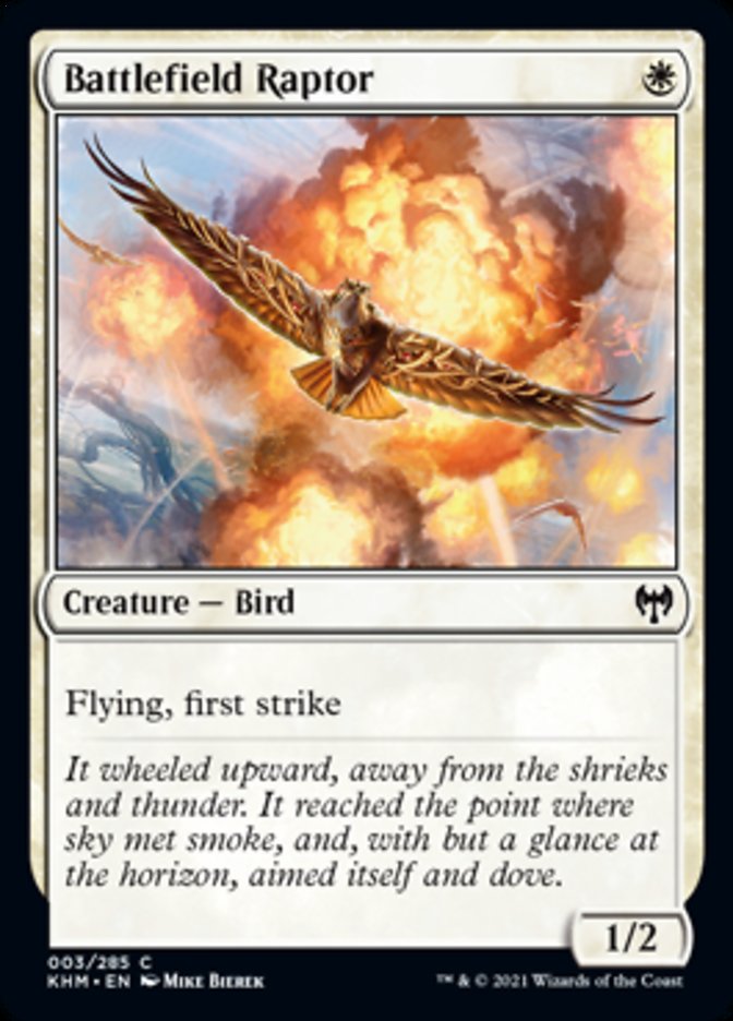 Battlefield Raptor [Kaldheim] | Card Merchant Takapuna