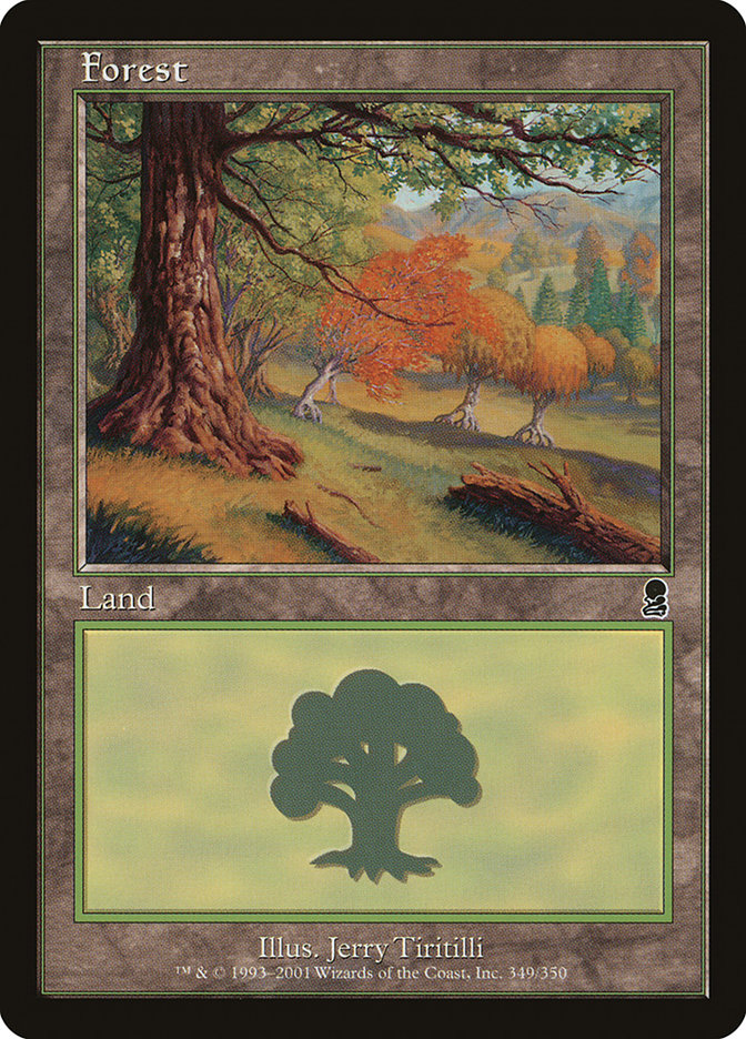 Forest (349) [Odyssey] | Card Merchant Takapuna