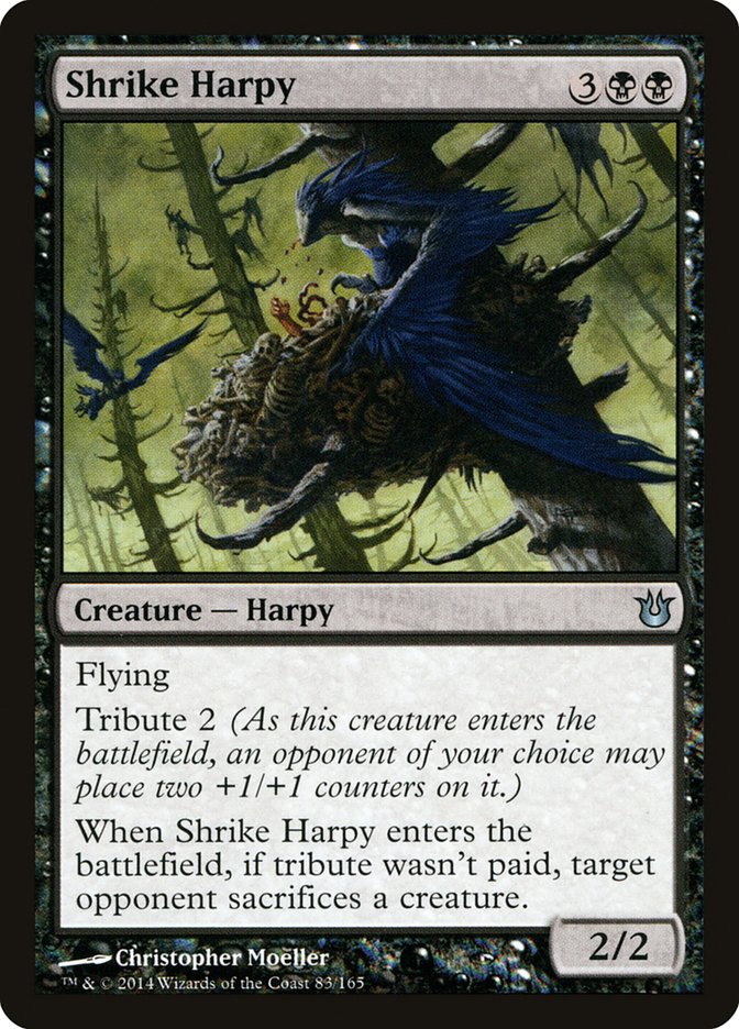 Shrike Harpy [Born of the Gods] | Card Merchant Takapuna