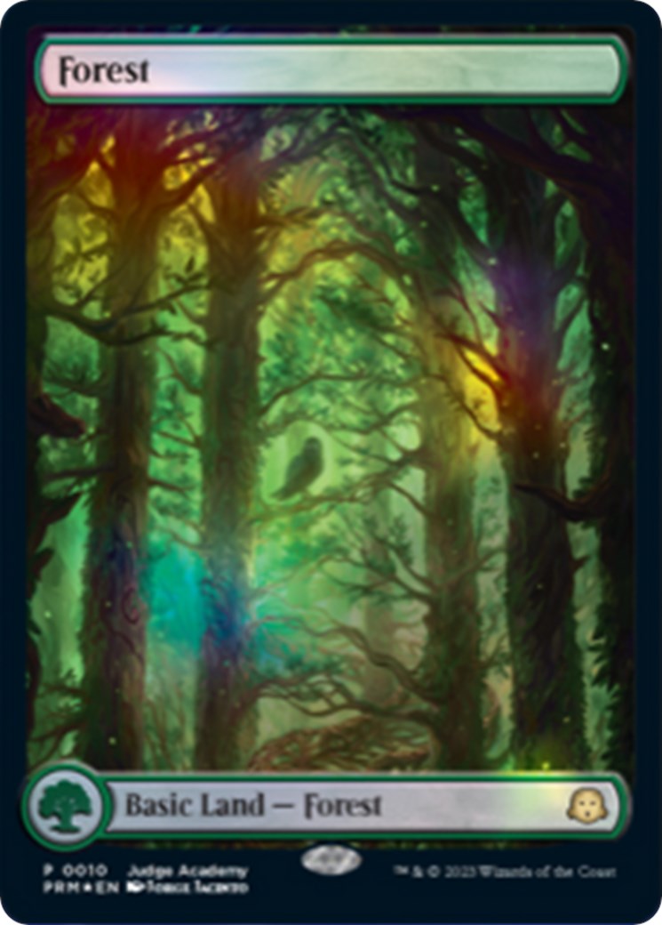 Forest [Judge Gift Cards 2023] | Card Merchant Takapuna