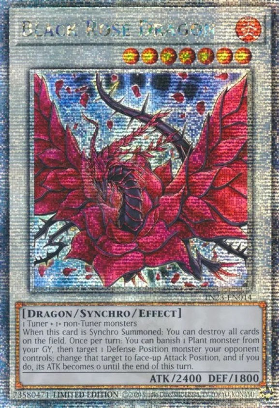 Black Rose Dragon [TN23-EN014] Quarter Century Secret Rare | Card Merchant Takapuna