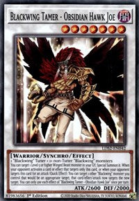 Blackwing Tamer - Obsidian Hawk Joe [LDS2-EN042] Common | Card Merchant Takapuna