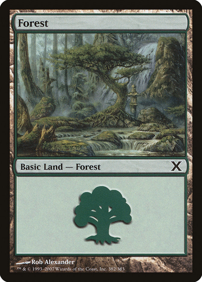 Forest (382) [Tenth Edition] | Card Merchant Takapuna