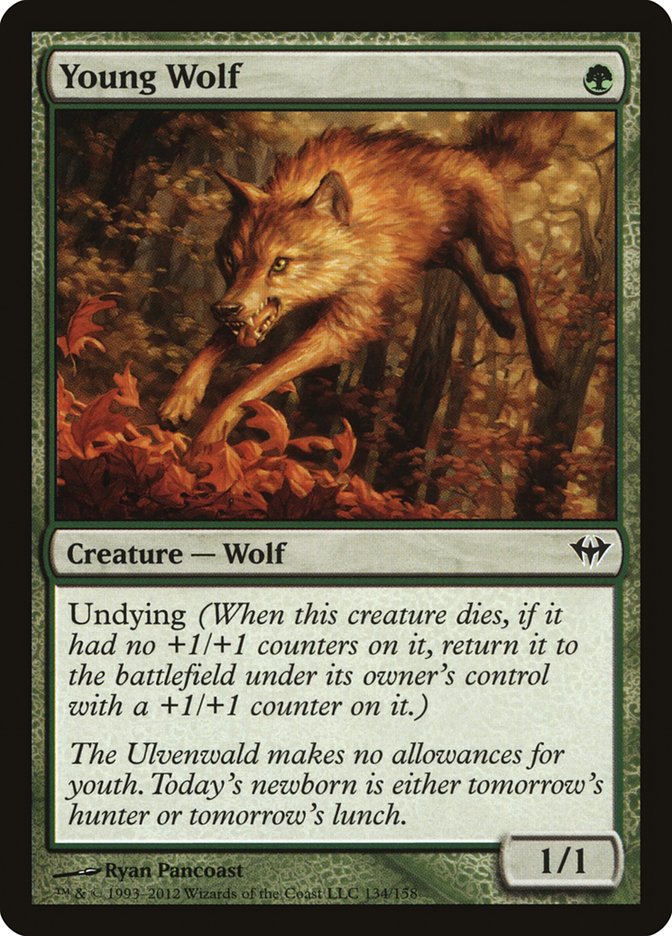 Young Wolf [Dark Ascension] | Card Merchant Takapuna