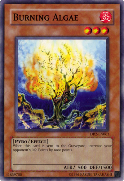 Burning Algae [DR2-EN063] Common | Card Merchant Takapuna