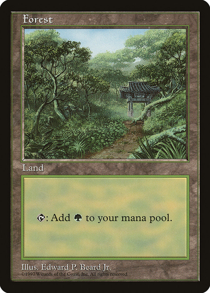 Forest (11) [Asia Pacific Land Program] | Card Merchant Takapuna