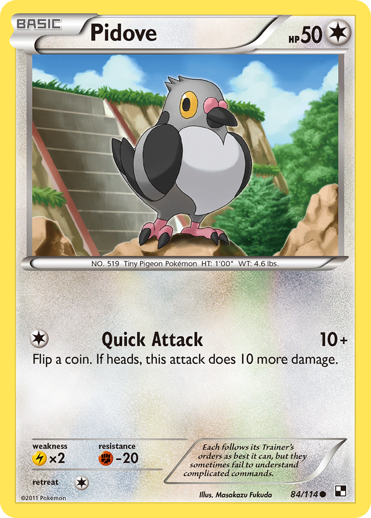 Pidove (84/114) [Black & White: Base Set] | Card Merchant Takapuna