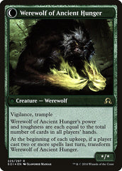 Sage of Ancient Lore // Werewolf of Ancient Hunger [Shadows over Innistrad Prerelease Promos] | Card Merchant Takapuna