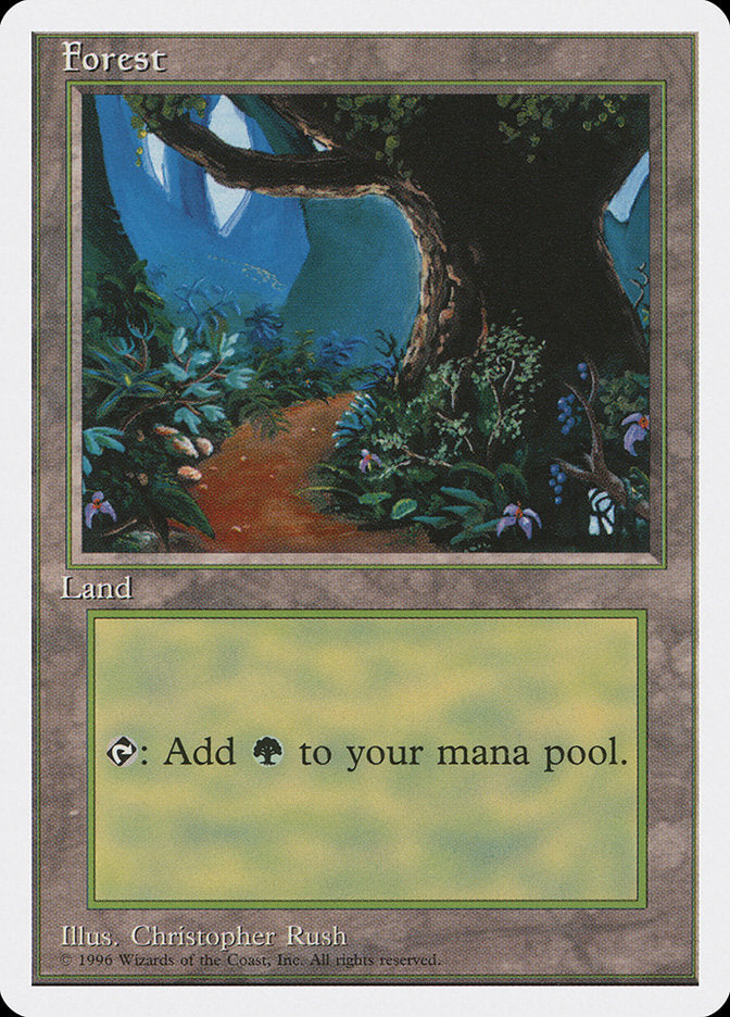 Forest (Dirt Path) [Introductory Two-Player Set] | Card Merchant Takapuna