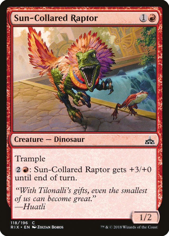 Sun-Collared Raptor [Rivals of Ixalan] | Card Merchant Takapuna