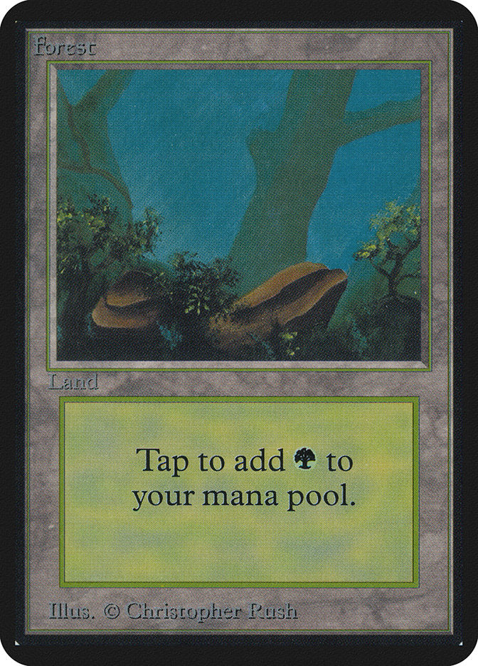 Forest (294) [Alpha Edition] | Card Merchant Takapuna