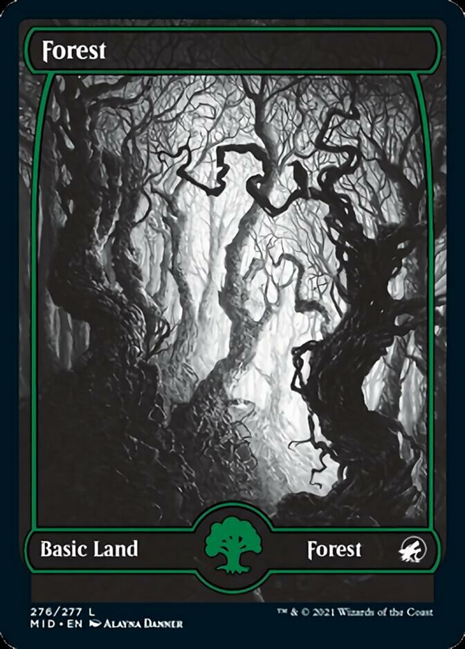 Forest (276) [Innistrad: Midnight Hunt] | Card Merchant Takapuna