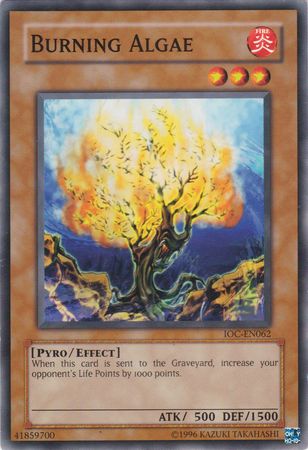 Burning Algae [IOC-EN062] Common | Card Merchant Takapuna