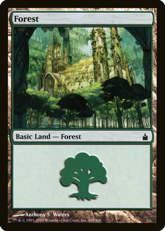 Forest (305) [Ravnica: City of Guilds] | Card Merchant Takapuna