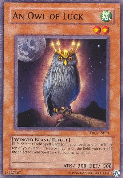 An Owl of Luck [DR1-EN021] Common | Card Merchant Takapuna