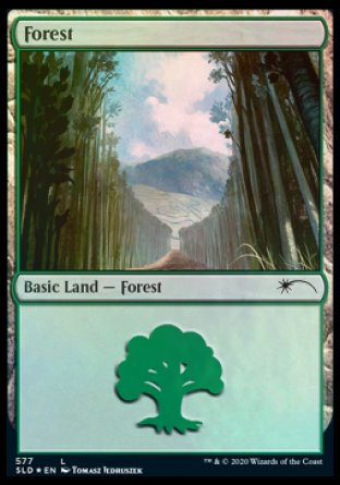 Forest (Walls) (577) [Secret Lair Drop Promos] | Card Merchant Takapuna