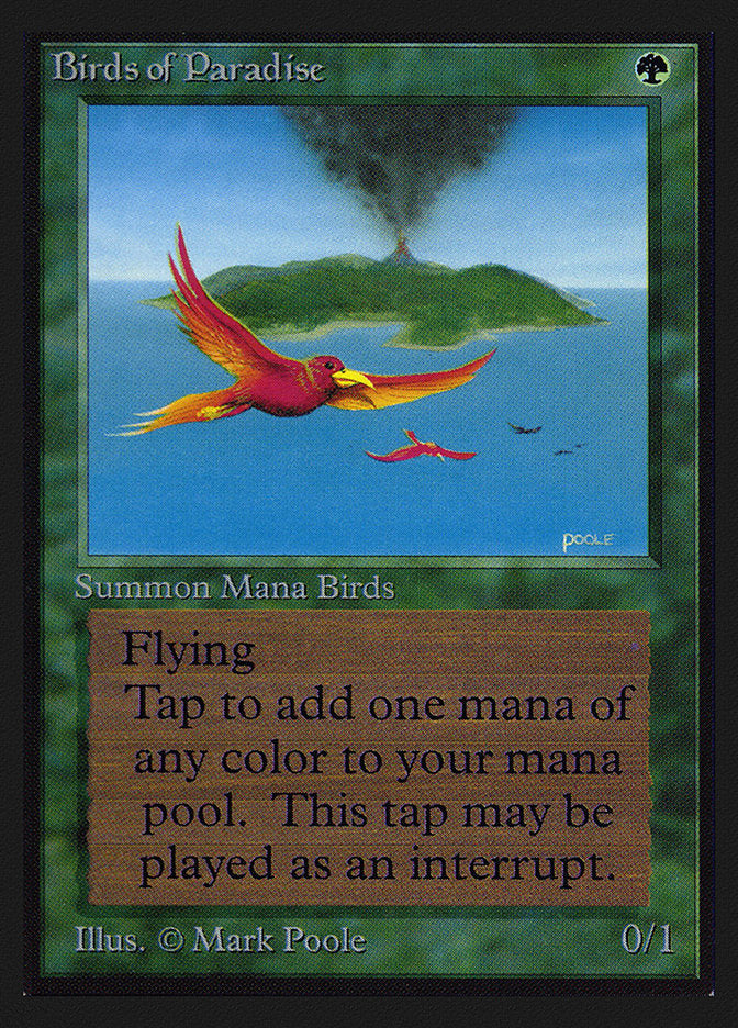 Birds of Paradise [International Collectors' Edition] | Card Merchant Takapuna