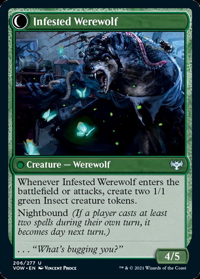 Infestation Expert // Infested Werewolf [Innistrad: Crimson Vow] | Card Merchant Takapuna