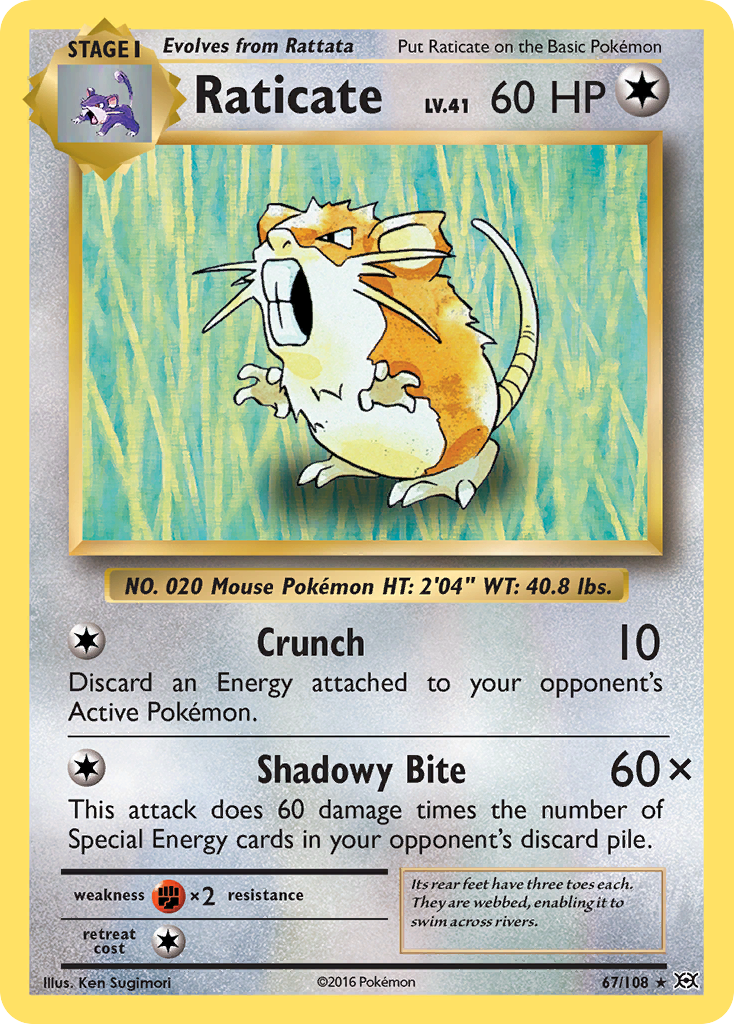 Raticate (67/108) [XY: Evolutions] | Card Merchant Takapuna