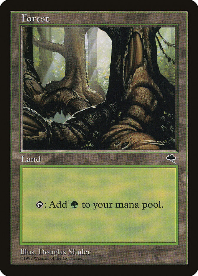 Forest (Large Roots) [Tempest] | Card Merchant Takapuna