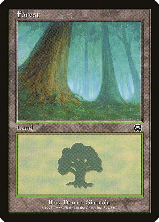 Forest (347) [Mercadian Masques] | Card Merchant Takapuna