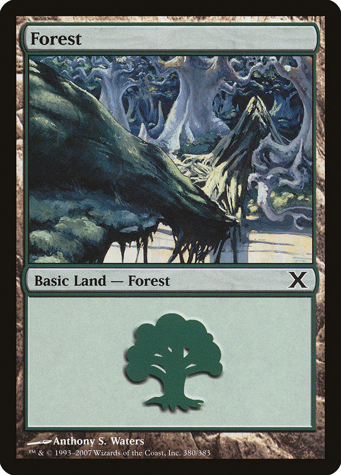 Forest (380) [Tenth Edition] | Card Merchant Takapuna