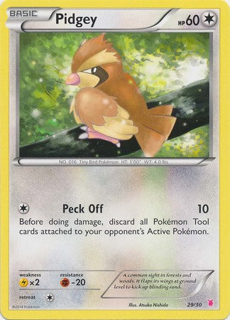 Pidgey (29/30) [XY: Trainer Kit 1 - Wigglytuff] | Card Merchant Takapuna