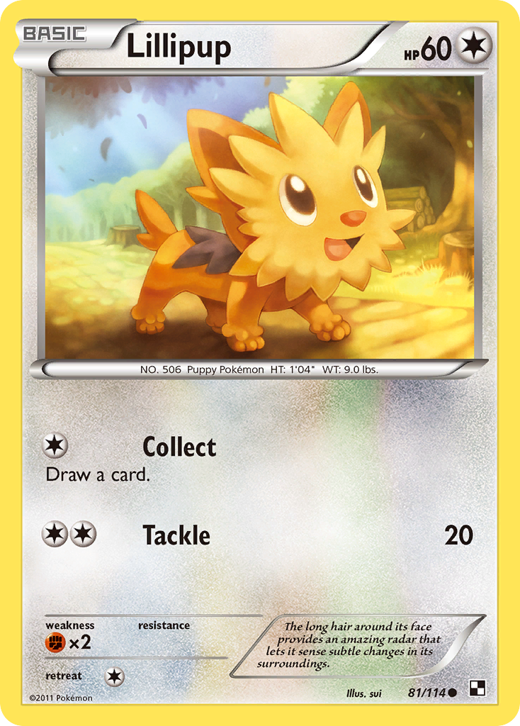 Lillipup (81/114) [Black & White: Base Set] | Card Merchant Takapuna