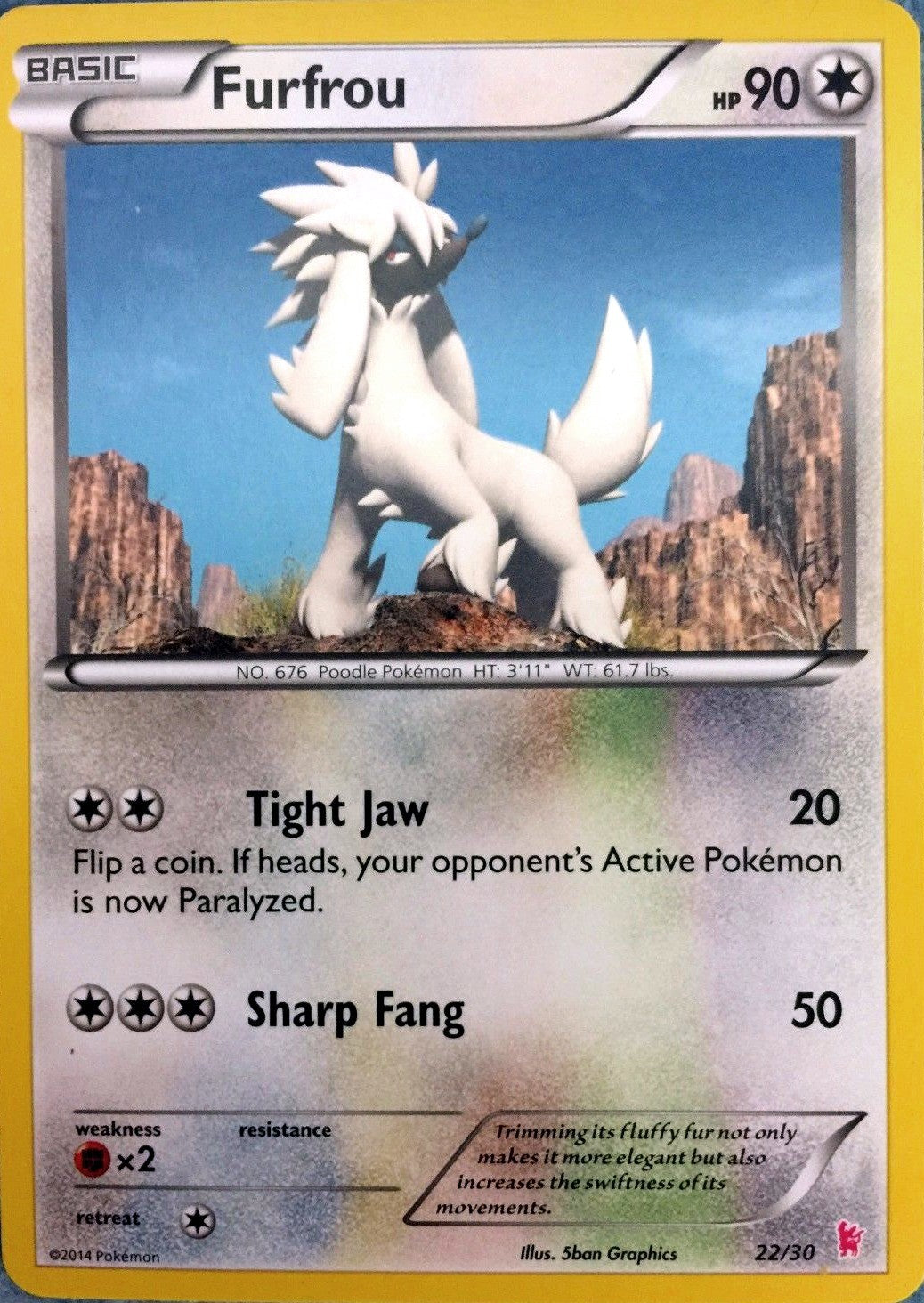 Furfrou (22/30) [XY: Trainer Kit - Sylveon] | Card Merchant Takapuna