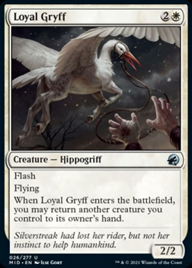 Loyal Gryff [Innistrad: Midnight Hunt] | Card Merchant Takapuna