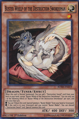 Buster Whelp of the Destruction Swordsman [BOSH-EN019] Super Rare | Card Merchant Takapuna