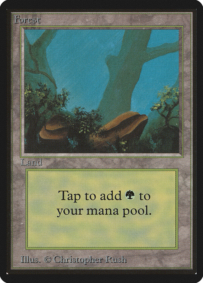 Forest (300) [Beta Edition] | Card Merchant Takapuna