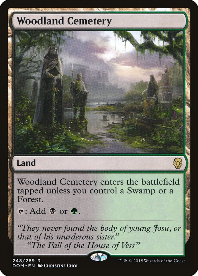 Woodland Cemetery [Dominaria] | Card Merchant Takapuna