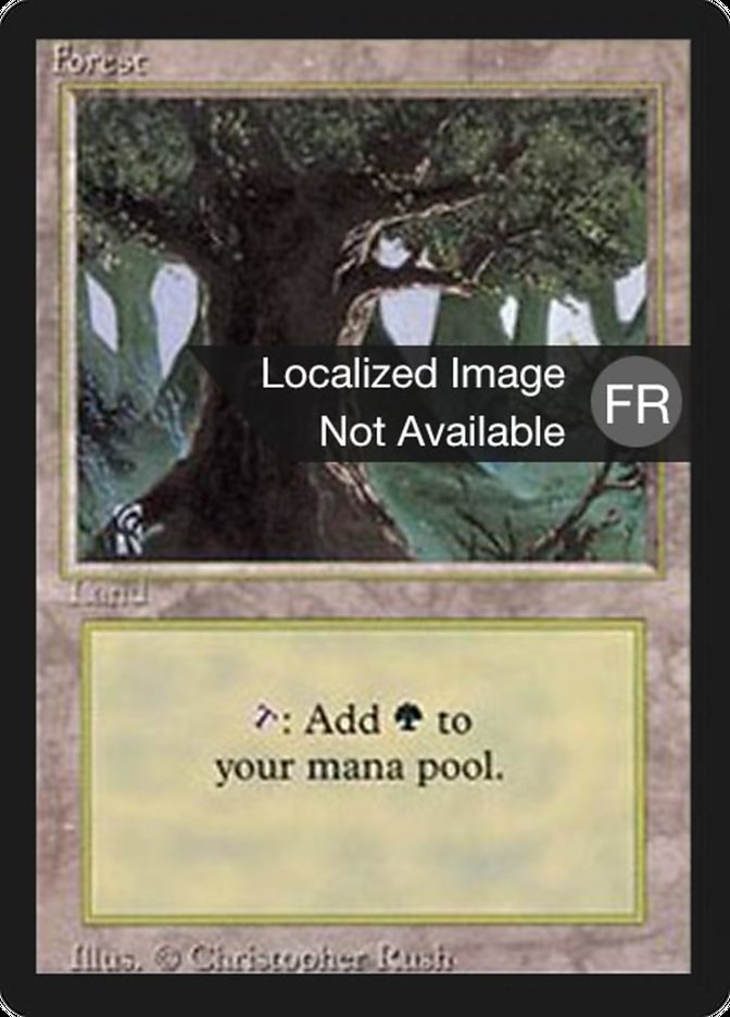 Forest (A) [Foreign Black Border] | Card Merchant Takapuna