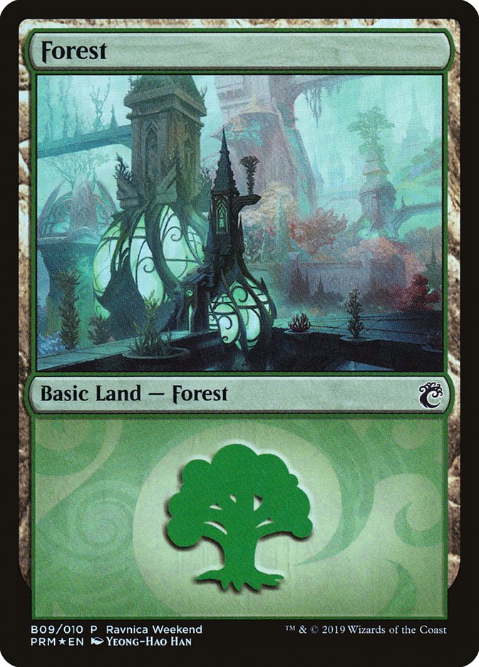 Forest (B09) [Ravnica Allegiance Guild Kit] | Card Merchant Takapuna