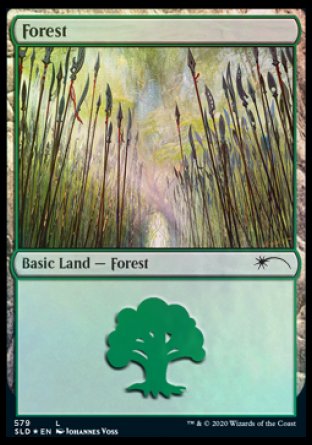 Forest (Elves) (579) [Secret Lair Drop Promos] | Card Merchant Takapuna