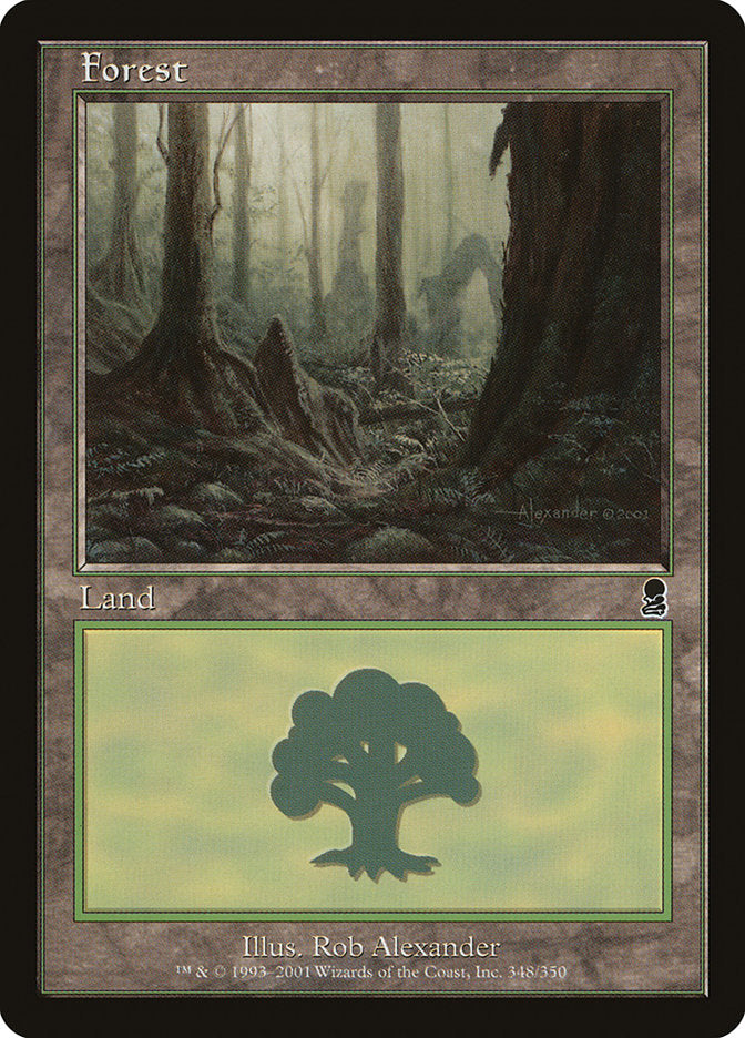 Forest (348) [Odyssey] | Card Merchant Takapuna