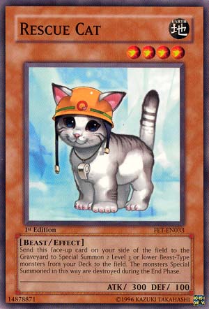 Rescue Cat [FET-EN033] Common | Card Merchant Takapuna