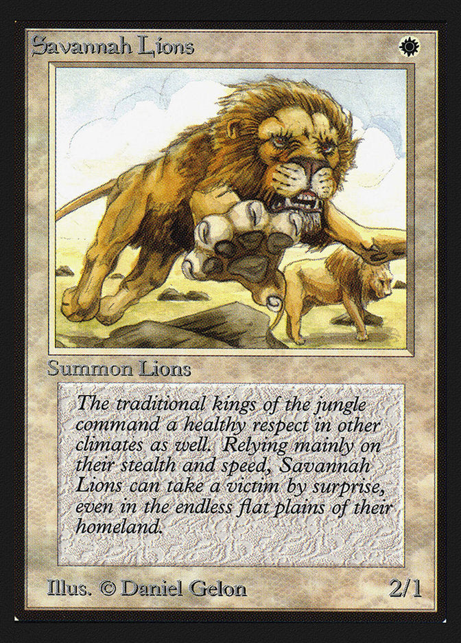 Savannah Lions [International Collectors' Edition] | Card Merchant Takapuna