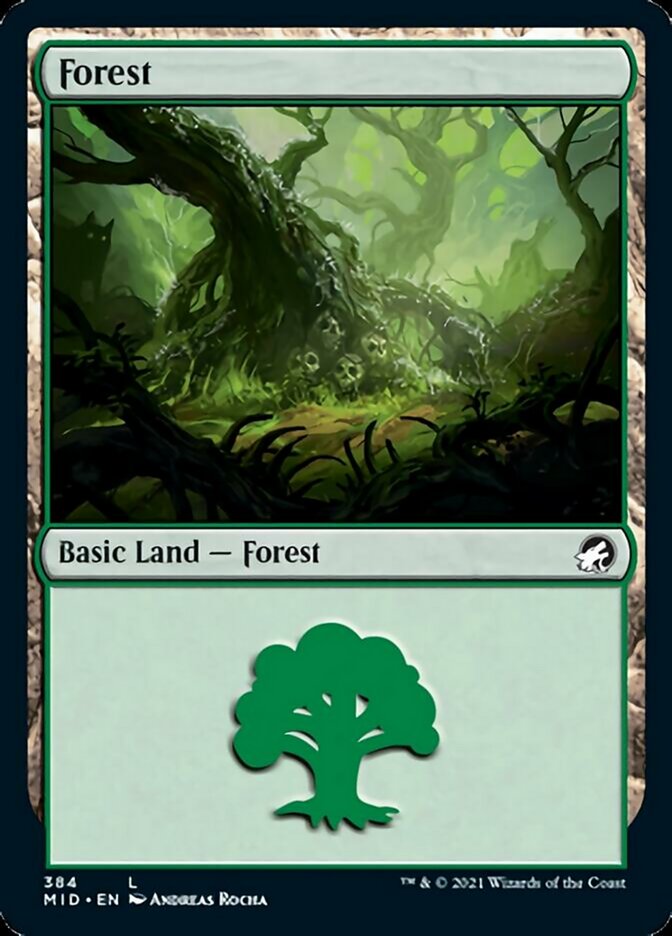 Forest (384) [Innistrad: Midnight Hunt] | Card Merchant Takapuna