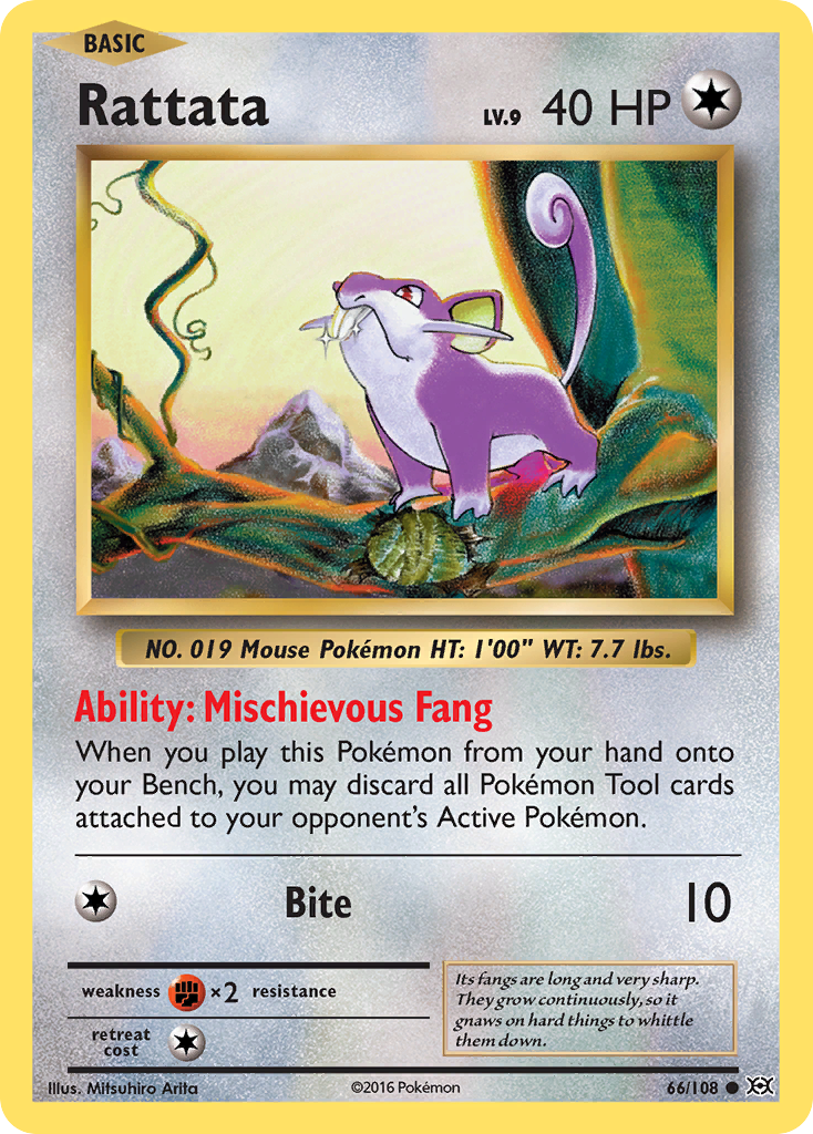 Rattata (66/108) [XY: Evolutions] | Card Merchant Takapuna