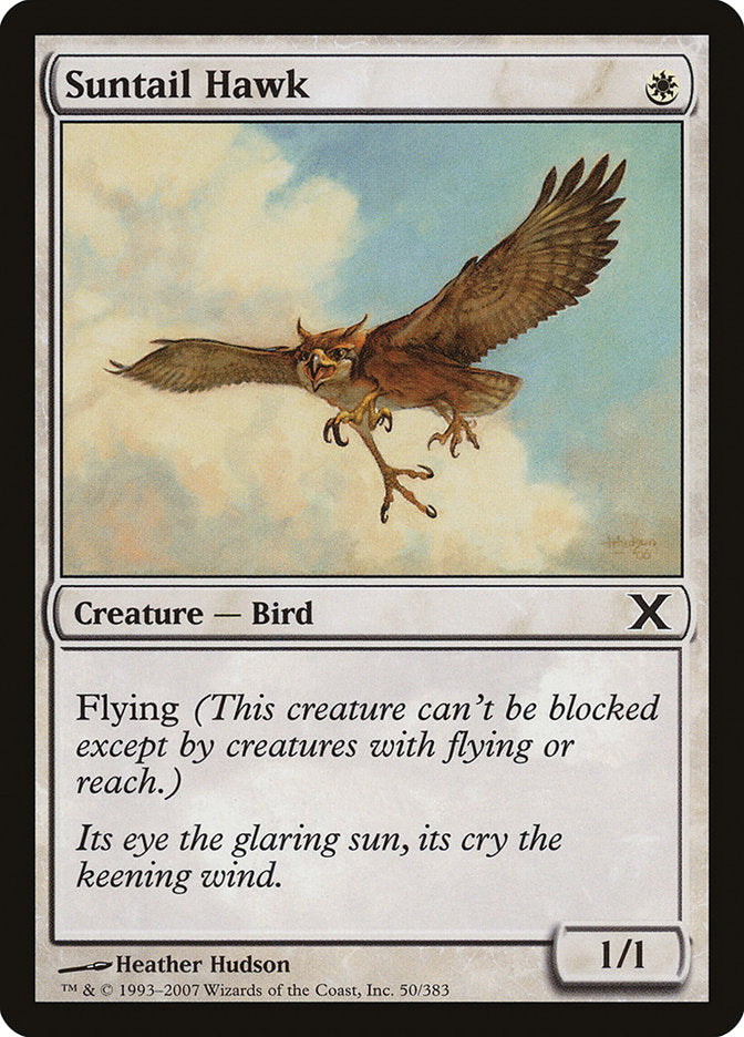 Suntail Hawk [Tenth Edition] | Card Merchant Takapuna