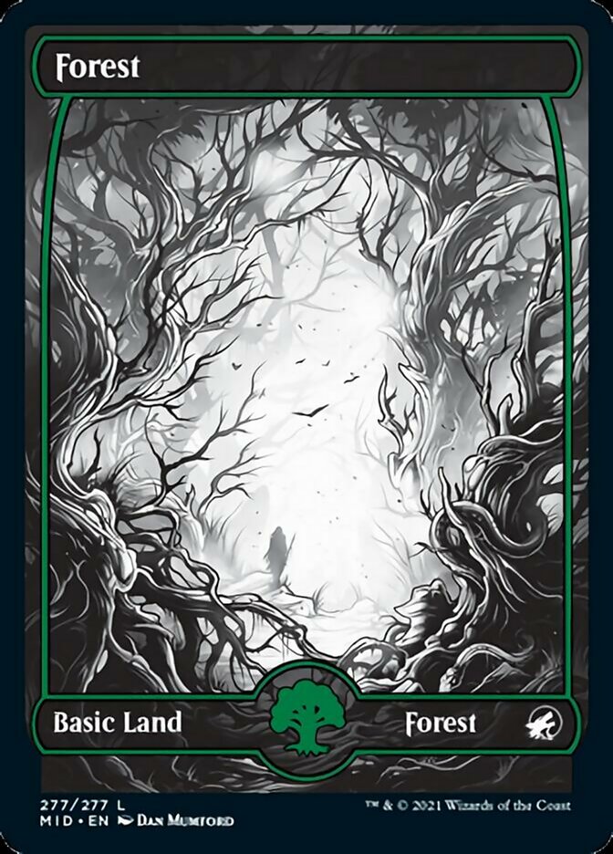 Forest (277) [Innistrad: Midnight Hunt] | Card Merchant Takapuna