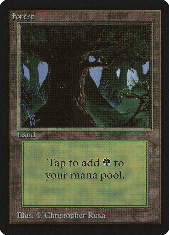 Forest (302) [Beta Edition] | Card Merchant Takapuna