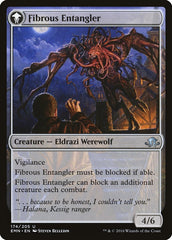 Tangleclaw Werewolf // Fibrous Entangler [Eldritch Moon] | Card Merchant Takapuna