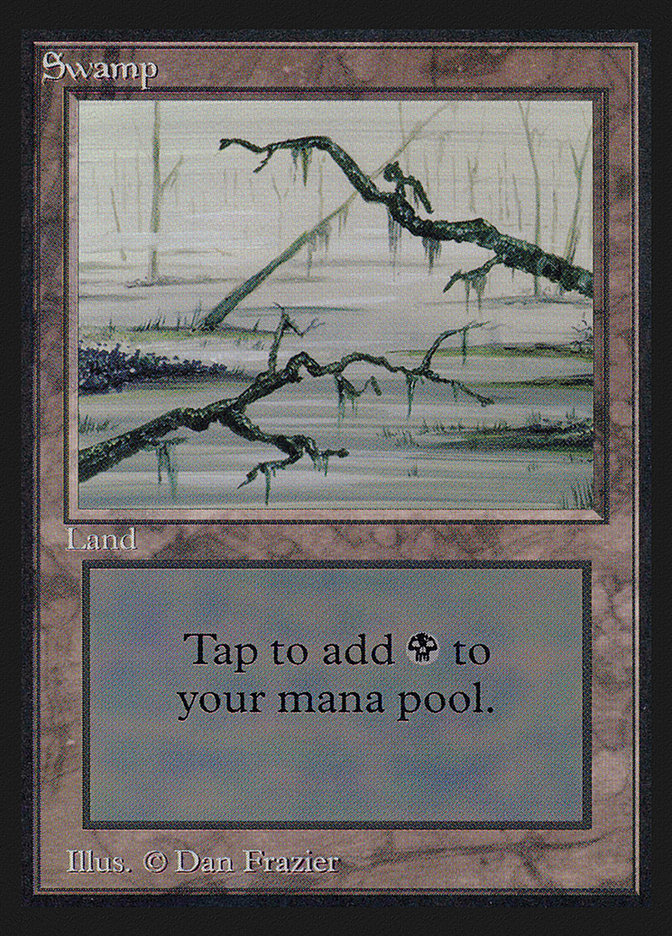 Swamp (Branches on Left and Right of Frame) [International Collectors' Edition] | Card Merchant Takapuna