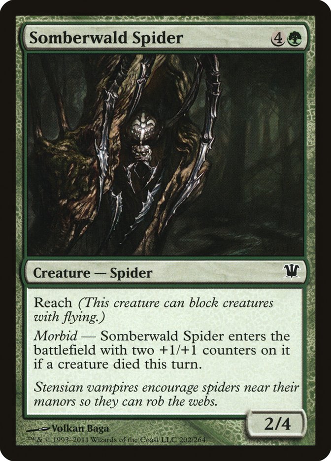 Somberwald Spider [Innistrad] | Card Merchant Takapuna